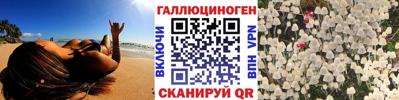 Купить где  Далматово  Псилоцибиновые грибы GOLDEN TEACHER 